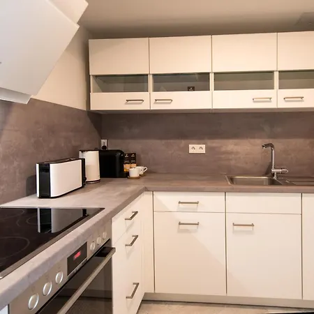 Daire Innenstadt-apartments Klinik Friedrichstadt Dresden